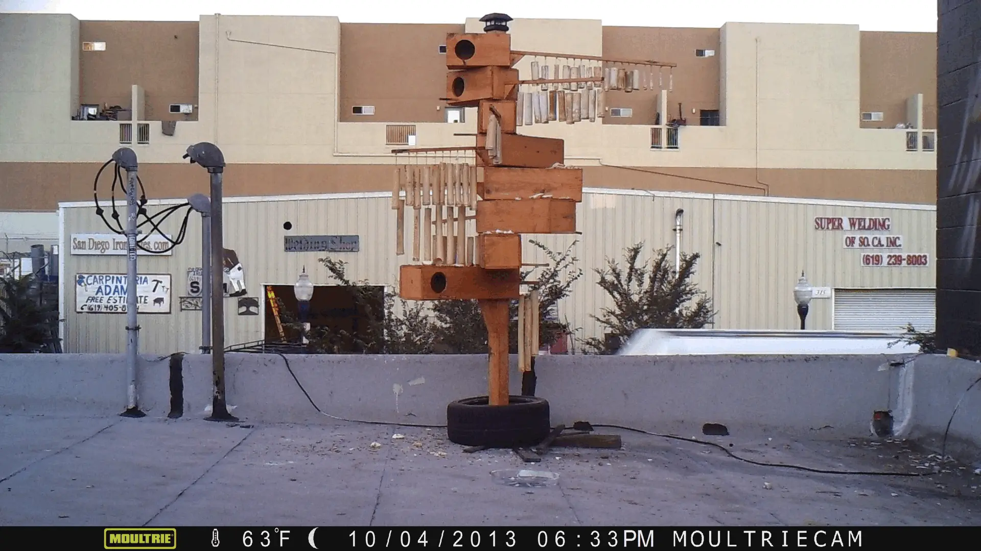 Spiral Pigeon Bird House - Backyard Build