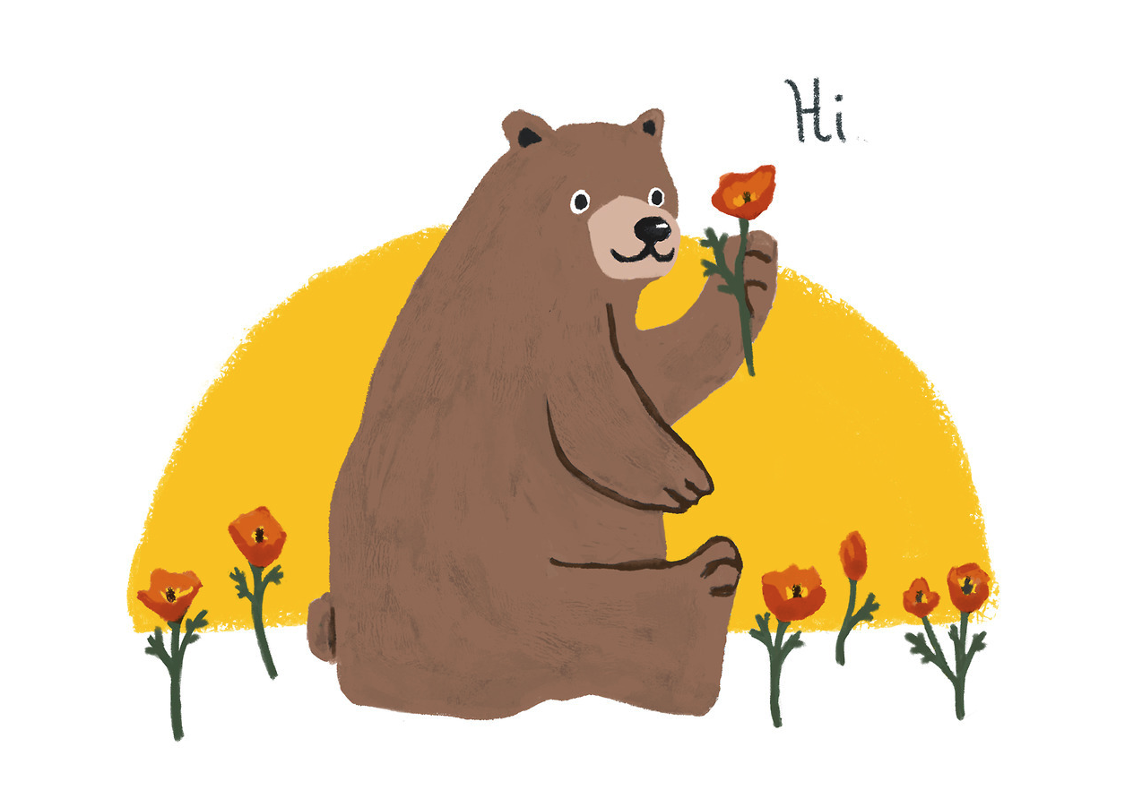 Rocket Boogie Products