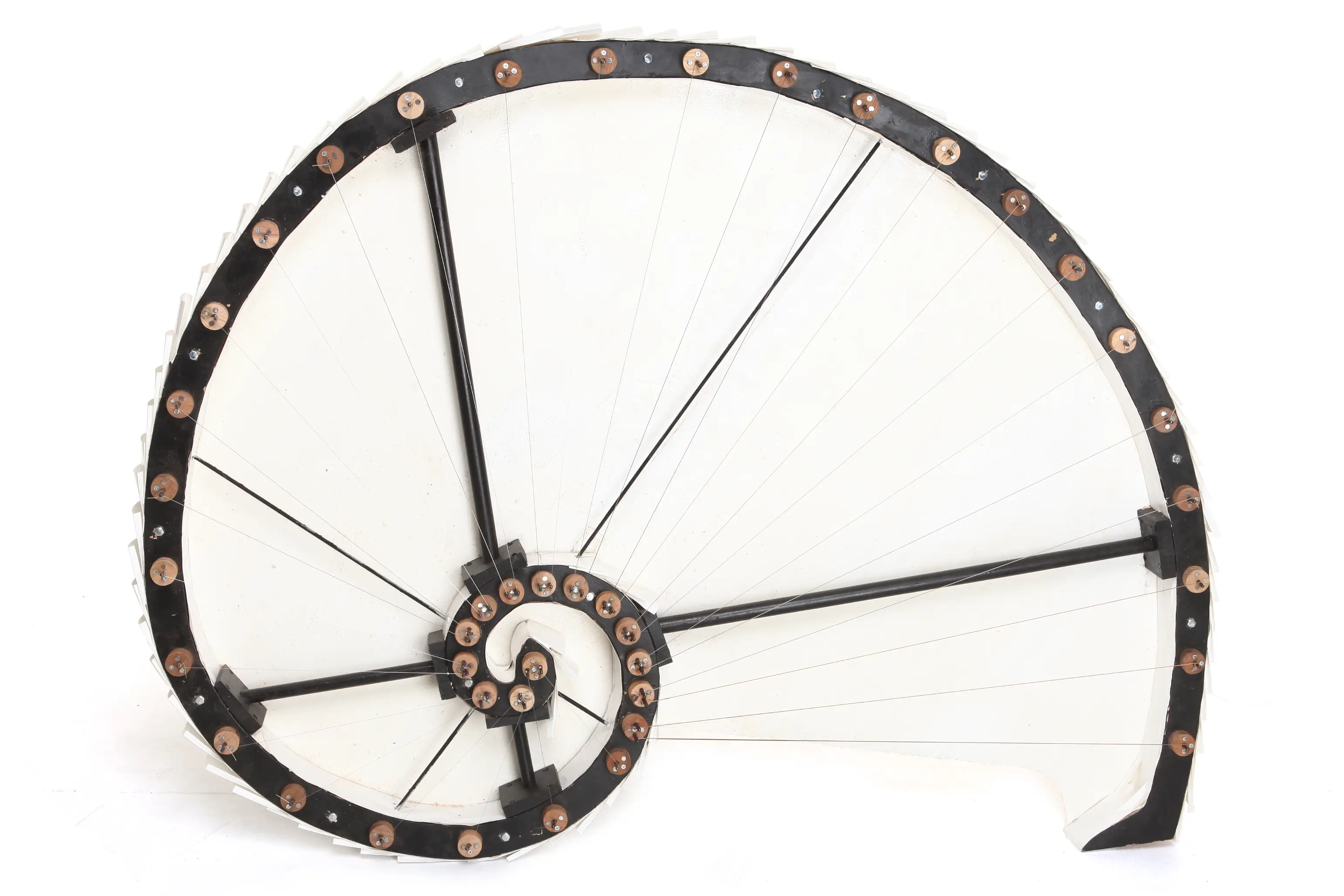 Fibonacci Snail Guitar